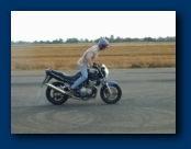 Back to the Expert (Jimmy Fireblade)